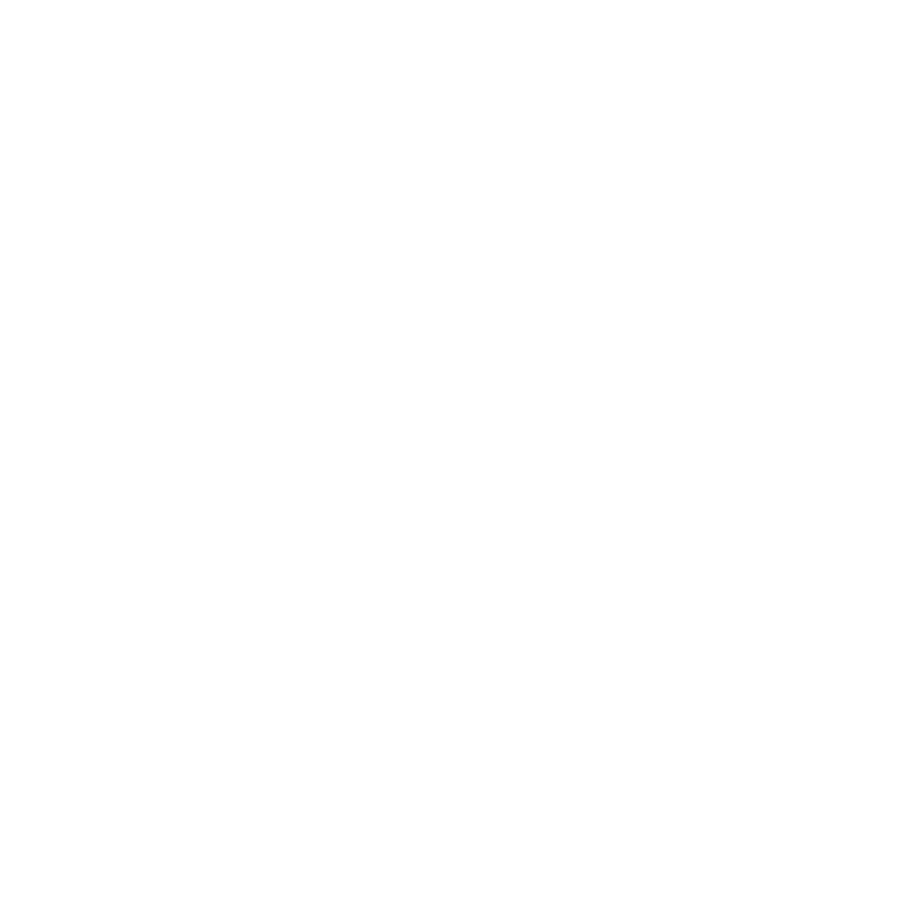 Alpha Sécurité Privée